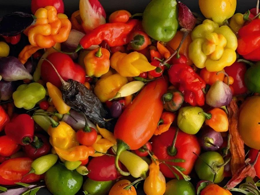 Lima Local Market & Culinary Experience — photo 6