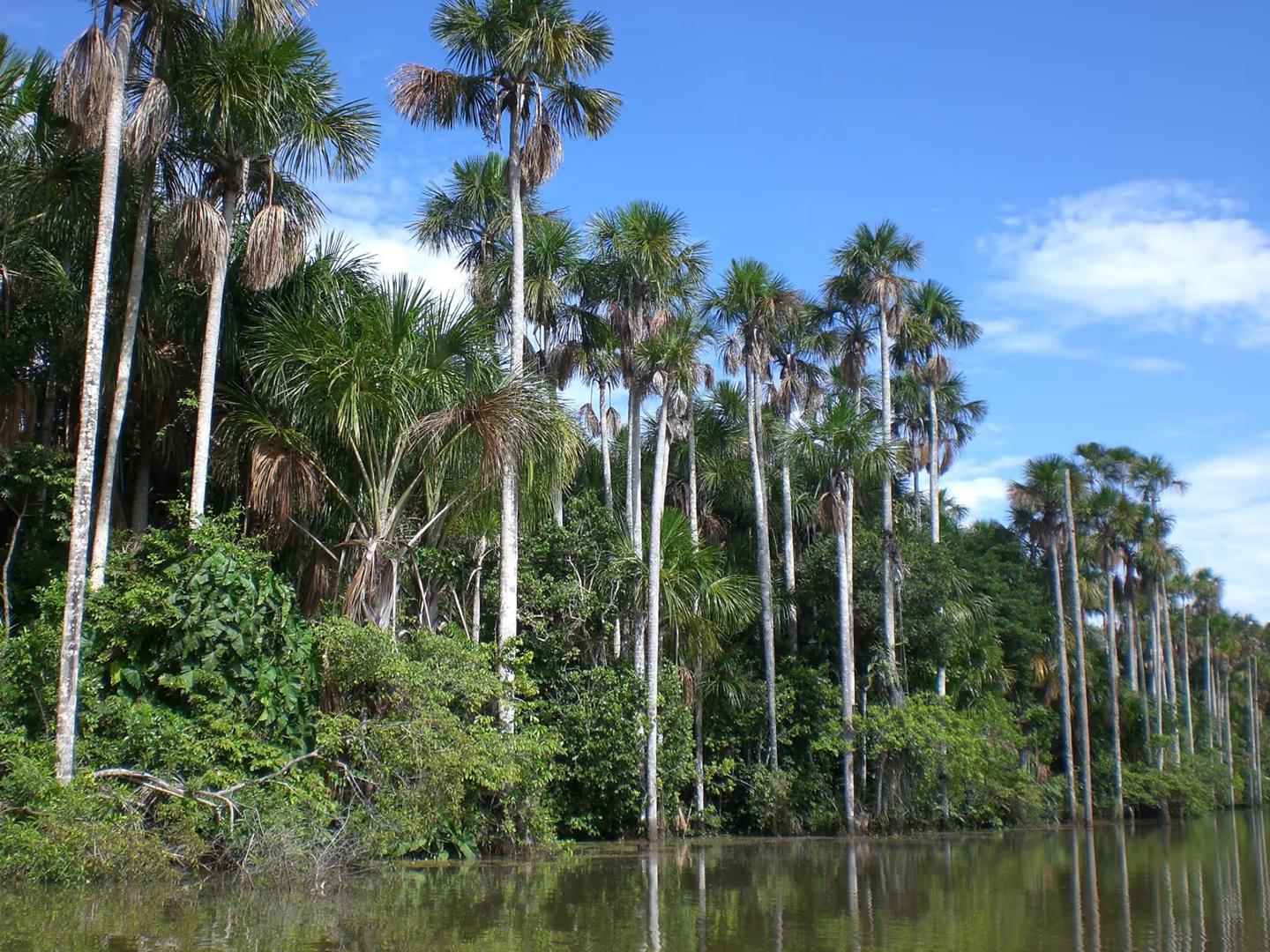 Tambopata Nature and Adventure – 3D/2N — photo 2