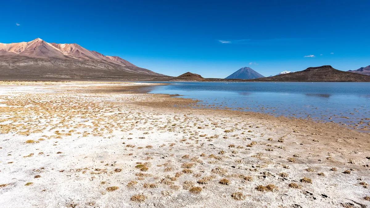 Private Salinas Salt Lagoon Tour: High Altitude Wildlife & Volcanoes — photo 12