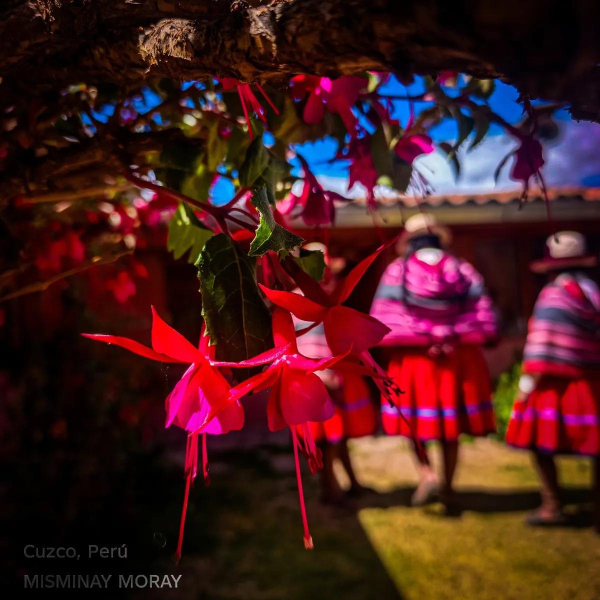 Misminay & Maras Cultural Immersion — photo 15