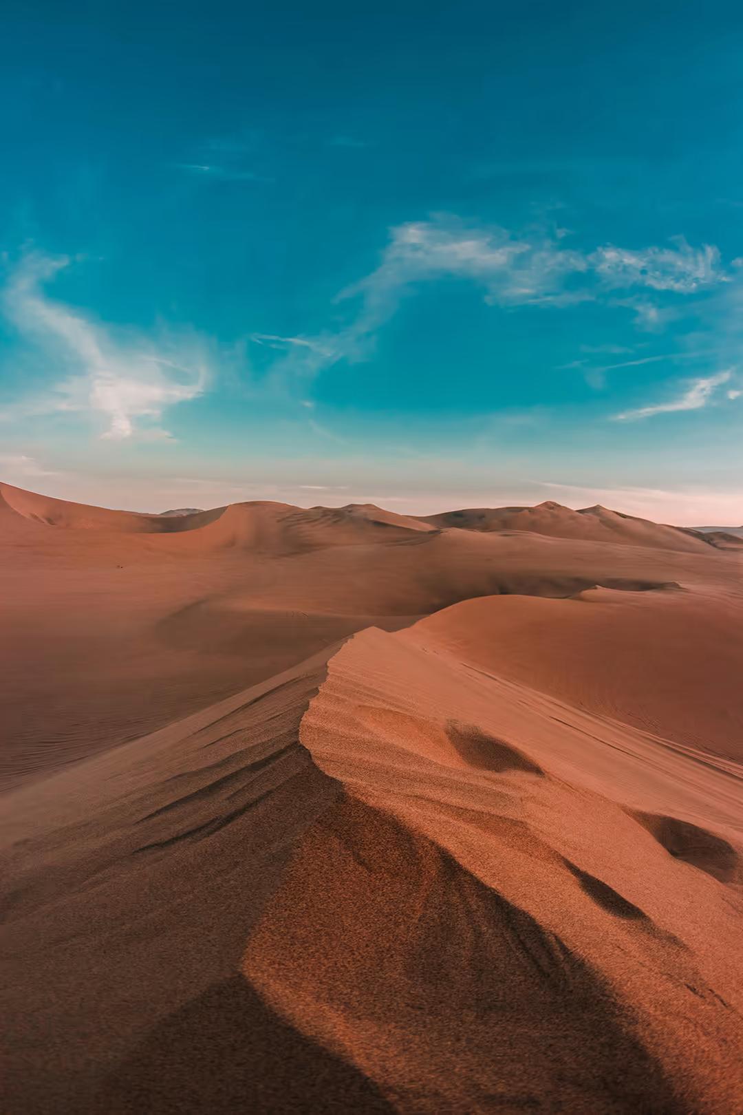 Private Paracas & Huacachina 2-Day Tour: Wildlife, Dunes & Vineyards Escape — photo 13