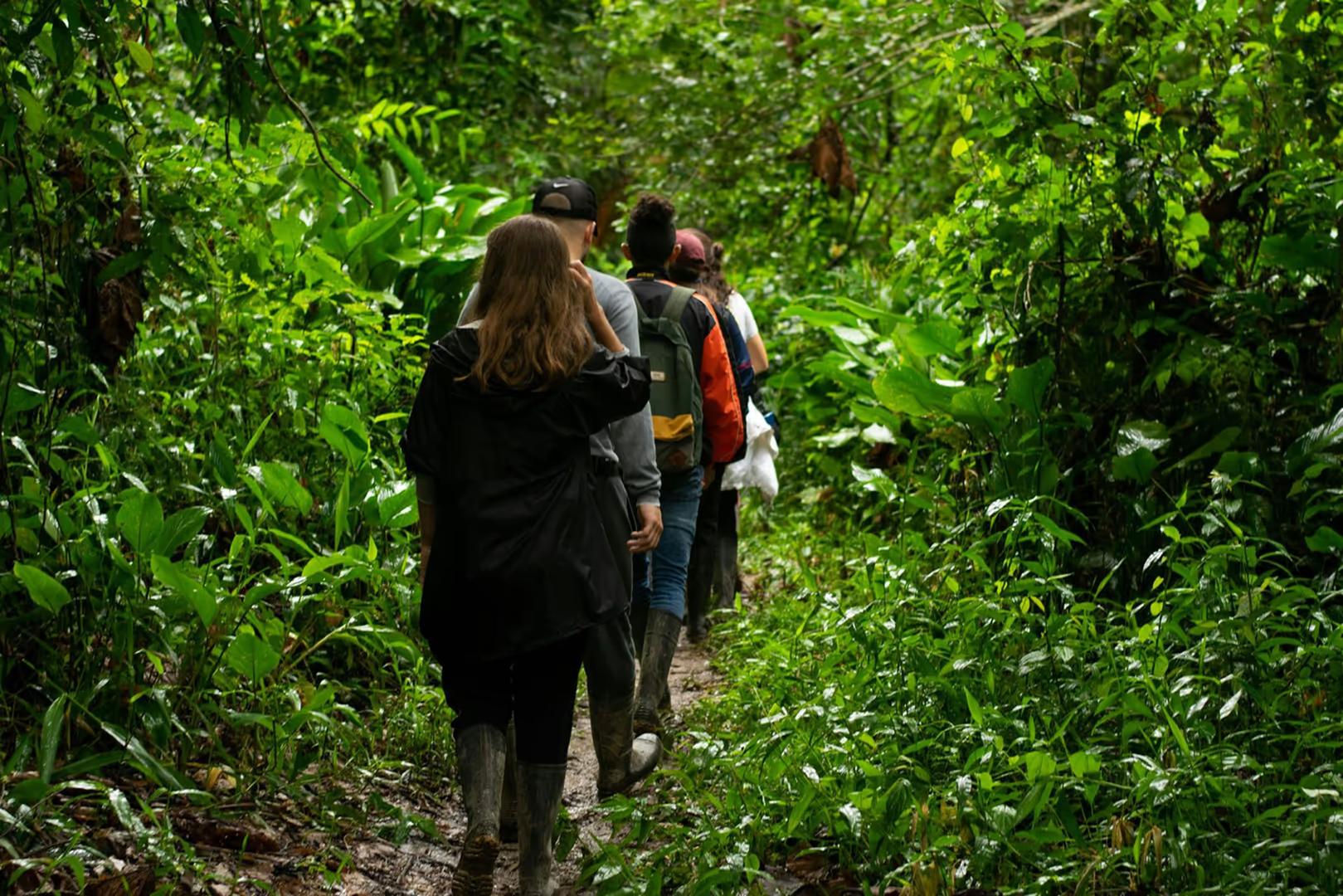 Amazon Jungle Immersion (Iquitos) – 4D/3N