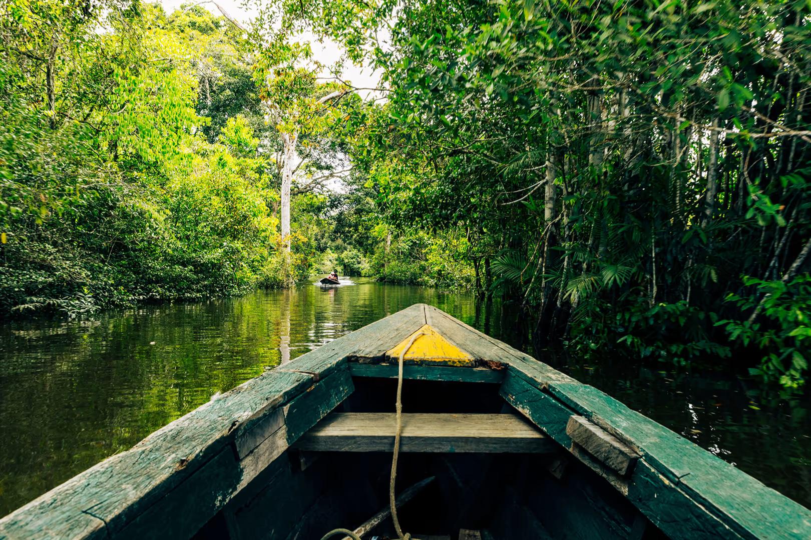 Amazon Jungle Immersion (Iquitos) – 4D/3N — photo 8