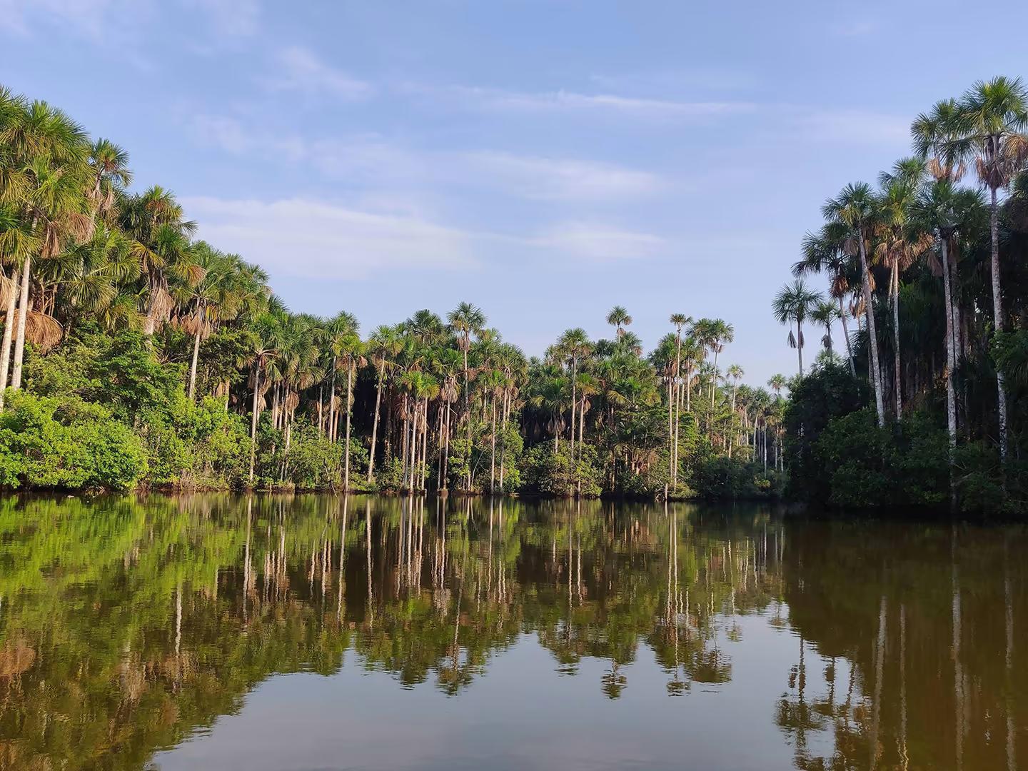 Tambopata Nature and Adventure – 3D/2N