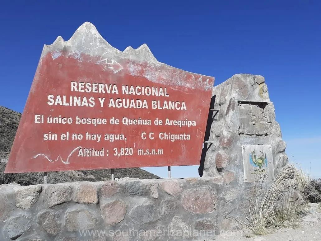 Private Salinas Salt Lagoon Tour: High Altitude Wildlife & Volcanoes — photo 13