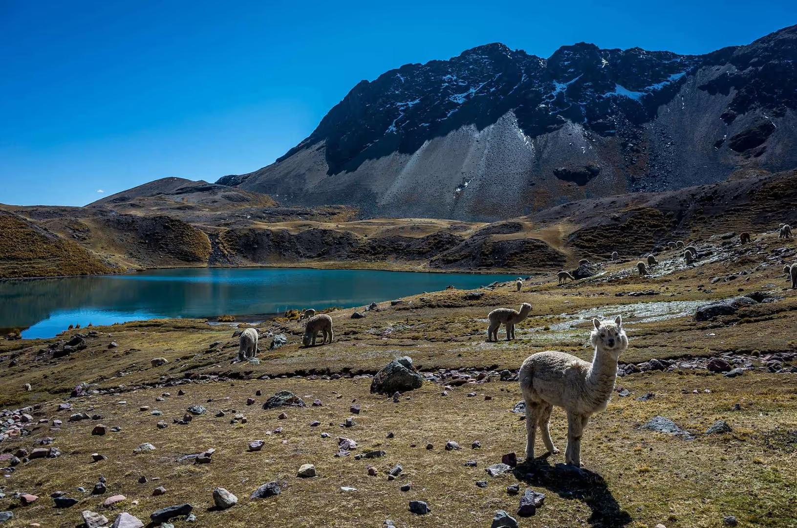 7 Lakes of Ausangate – Scenic High-Altitude Trekking