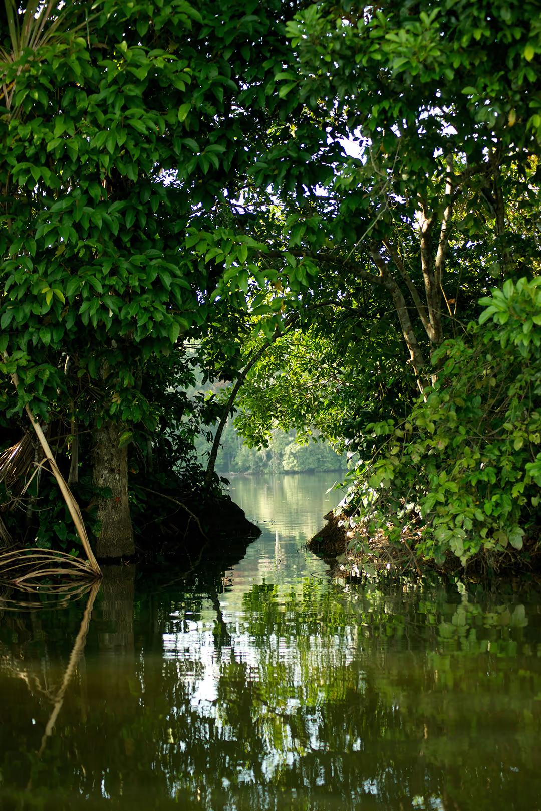 Tambopata Nature and Adventure – 3D/2N — photo 3