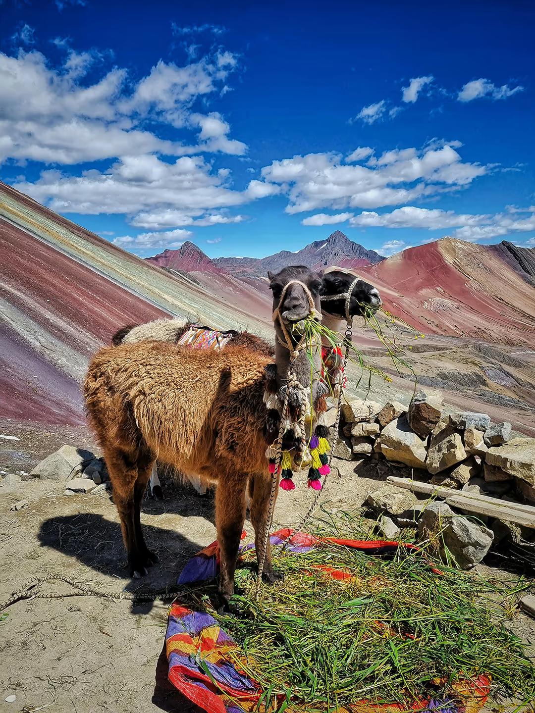 Private Rainbow Mountain & Red Valley Trek: Full Day High Altitude Hiking — photo 2