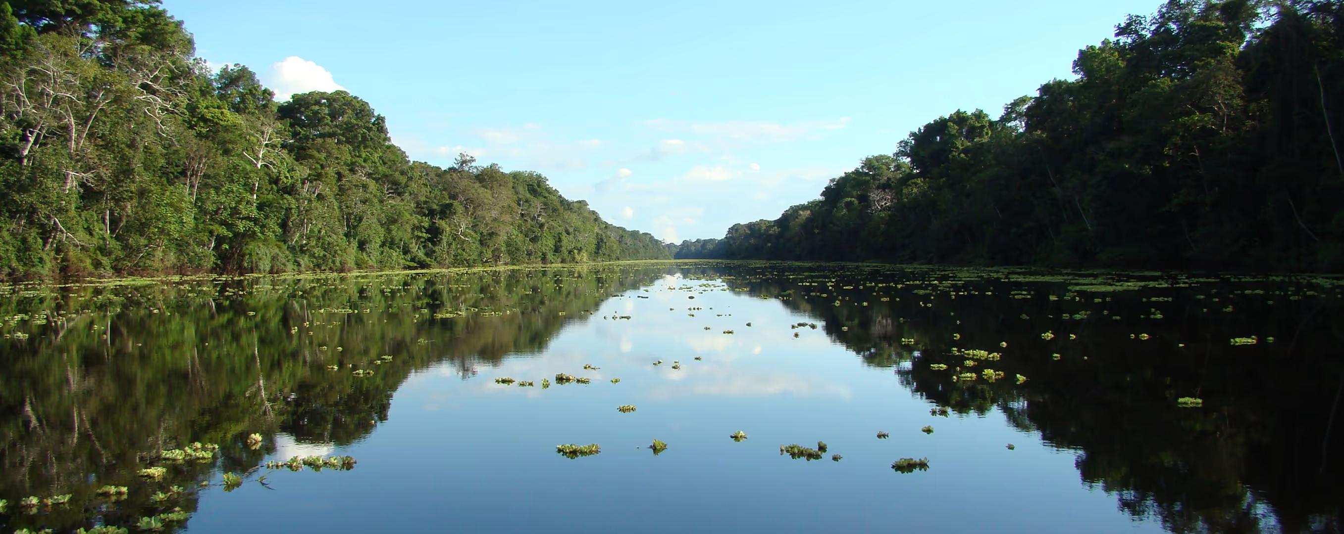 Amazon Jungle Immersion (Iquitos) – 4D/3N — photo 6
