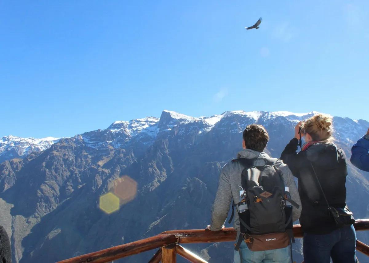 Private Colca Canyon Full Day Tour: Cruz del Condor & High Andes — photo 12