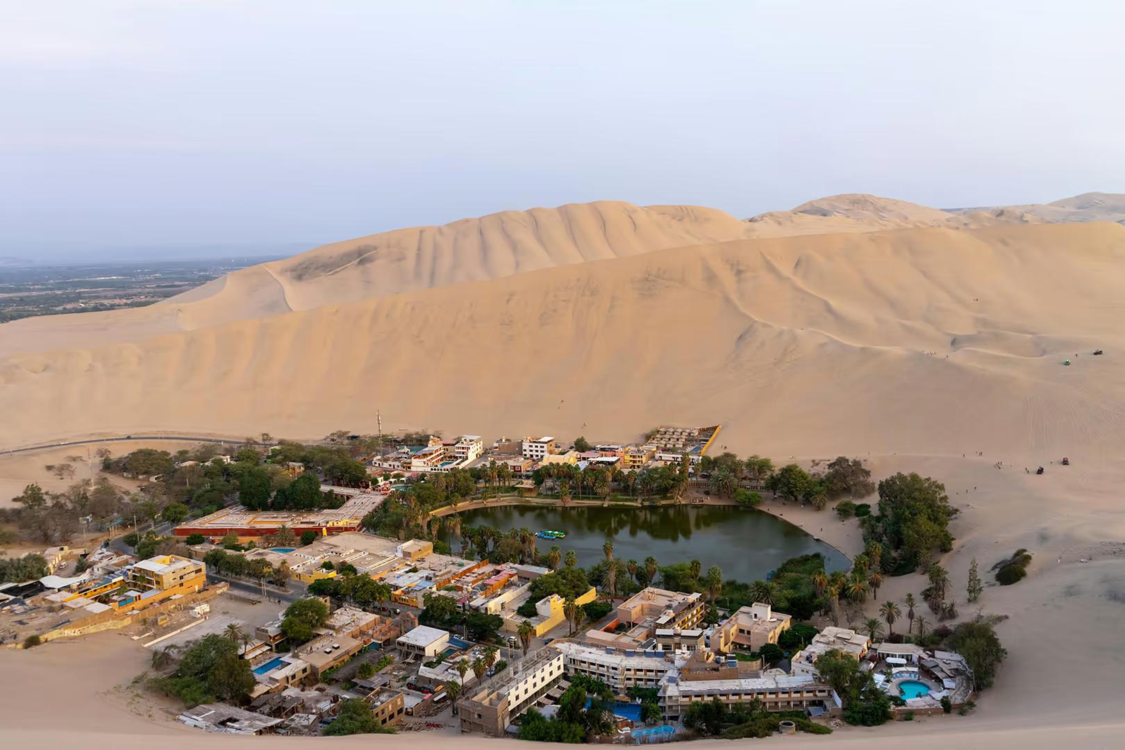Private Paracas & Huacachina 2-Day Tour: Wildlife, Dunes & Vineyards Escape — photo 8
