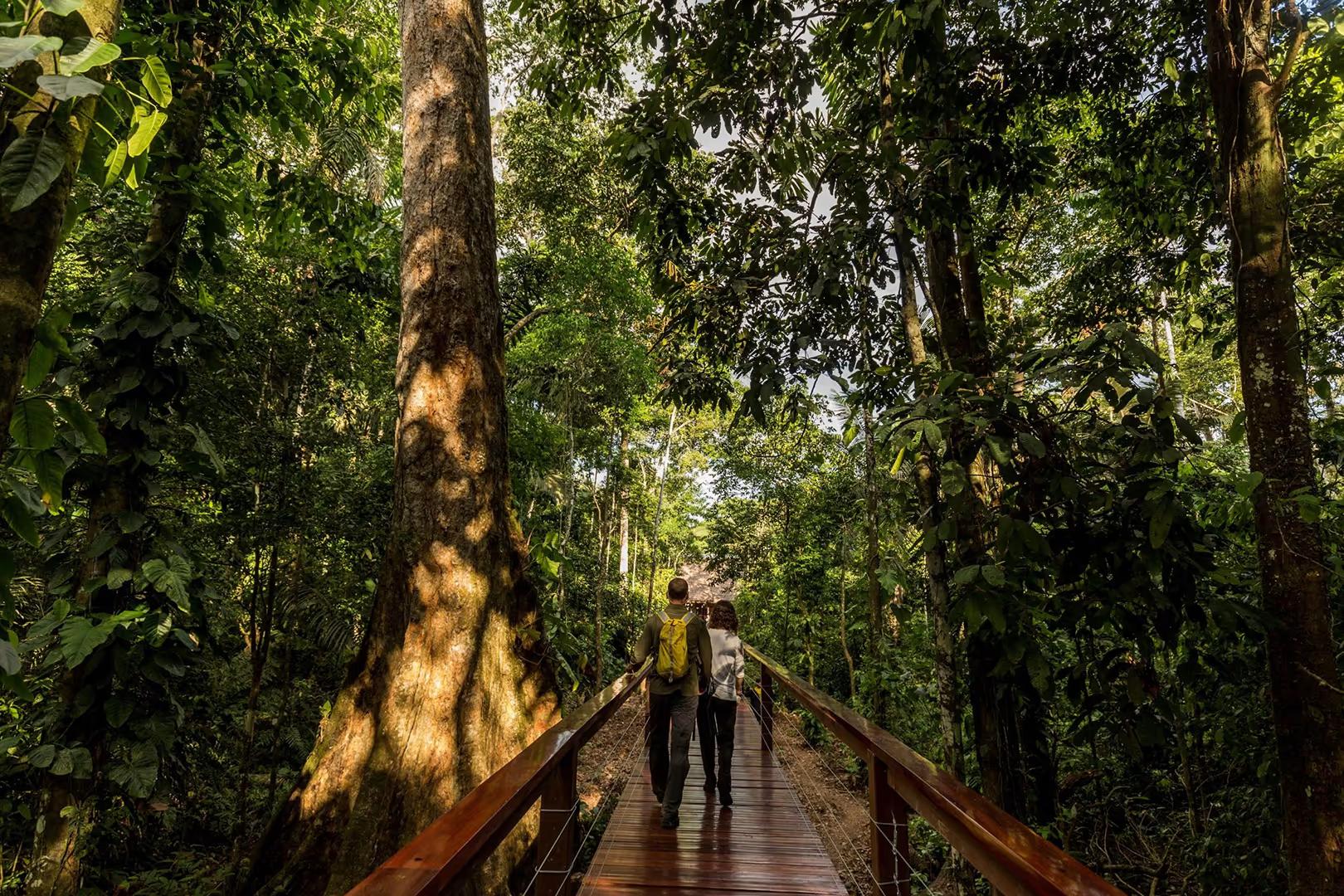 Tambopata Nature and Adventure – 3D/2N — photo 10