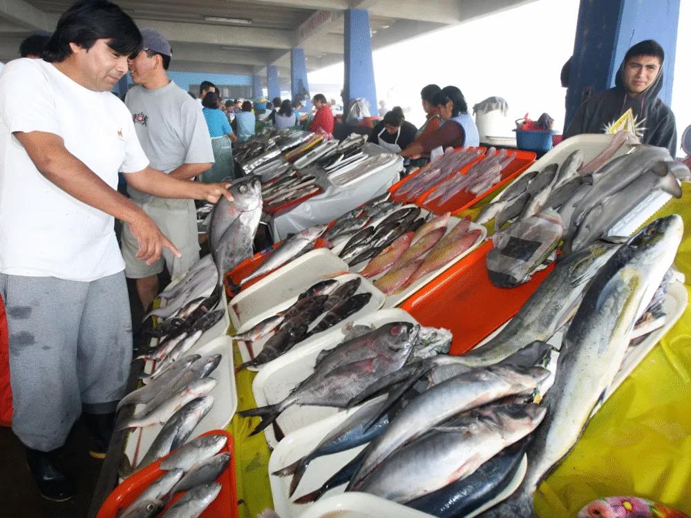 Lima Local Market & Culinary Experience — photo 3