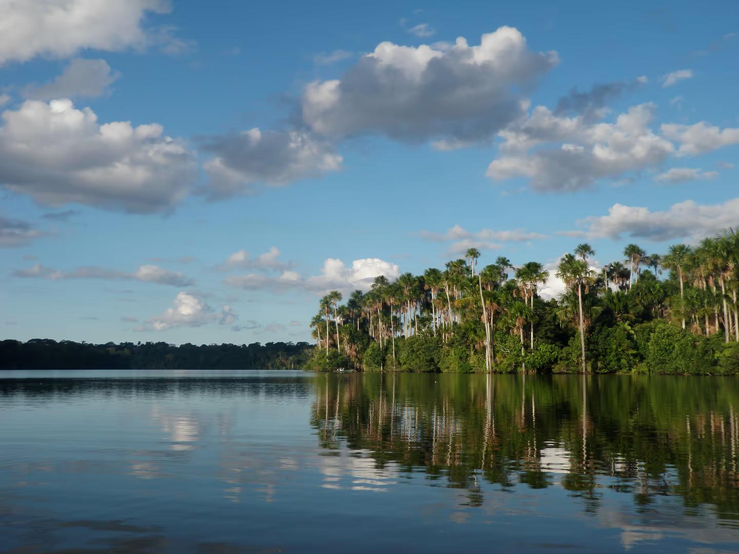 Tambopata Nature and Adventure – 3D/2N — photo 13