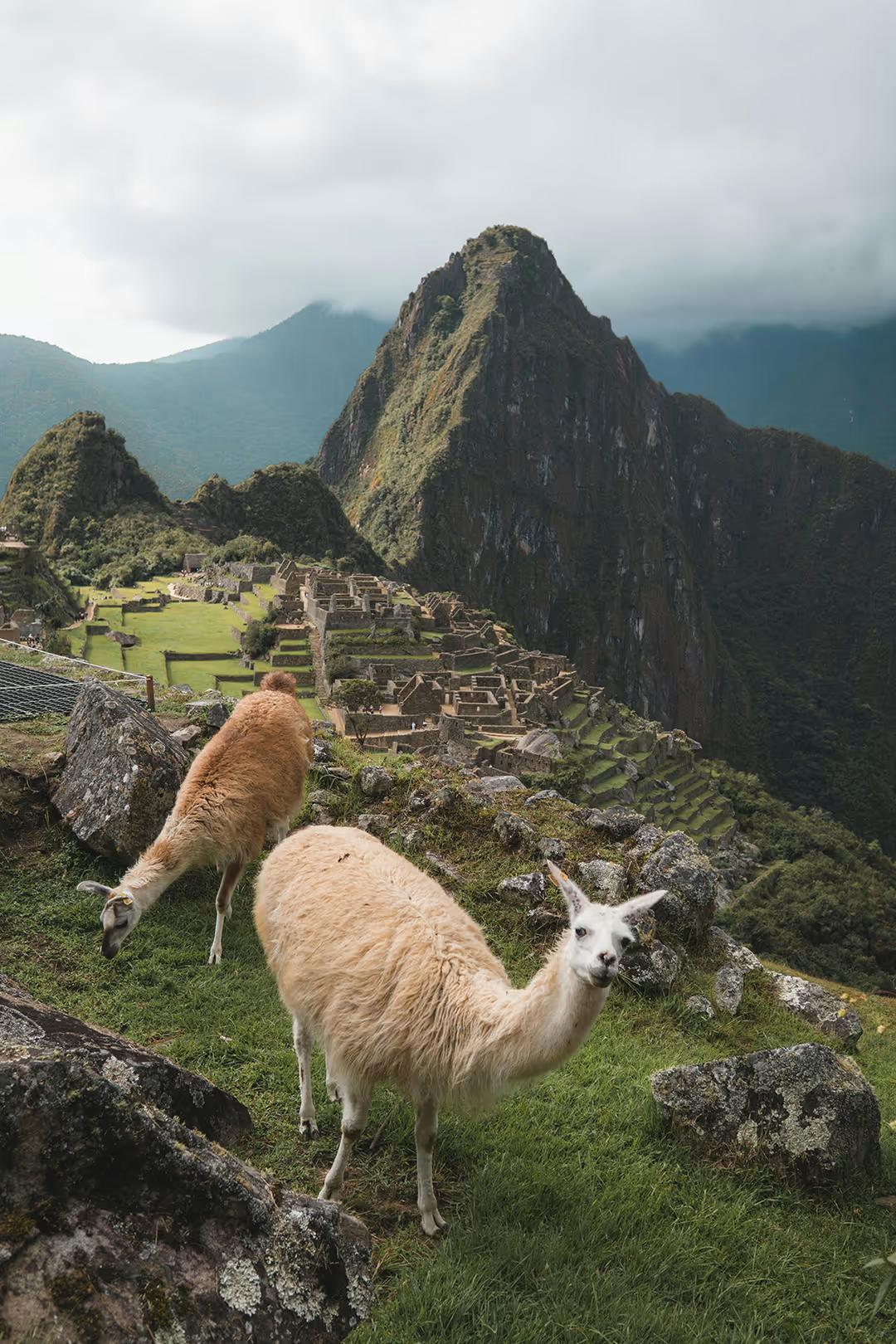 Private 4-Day Machu Picchu Highlights — photo 21