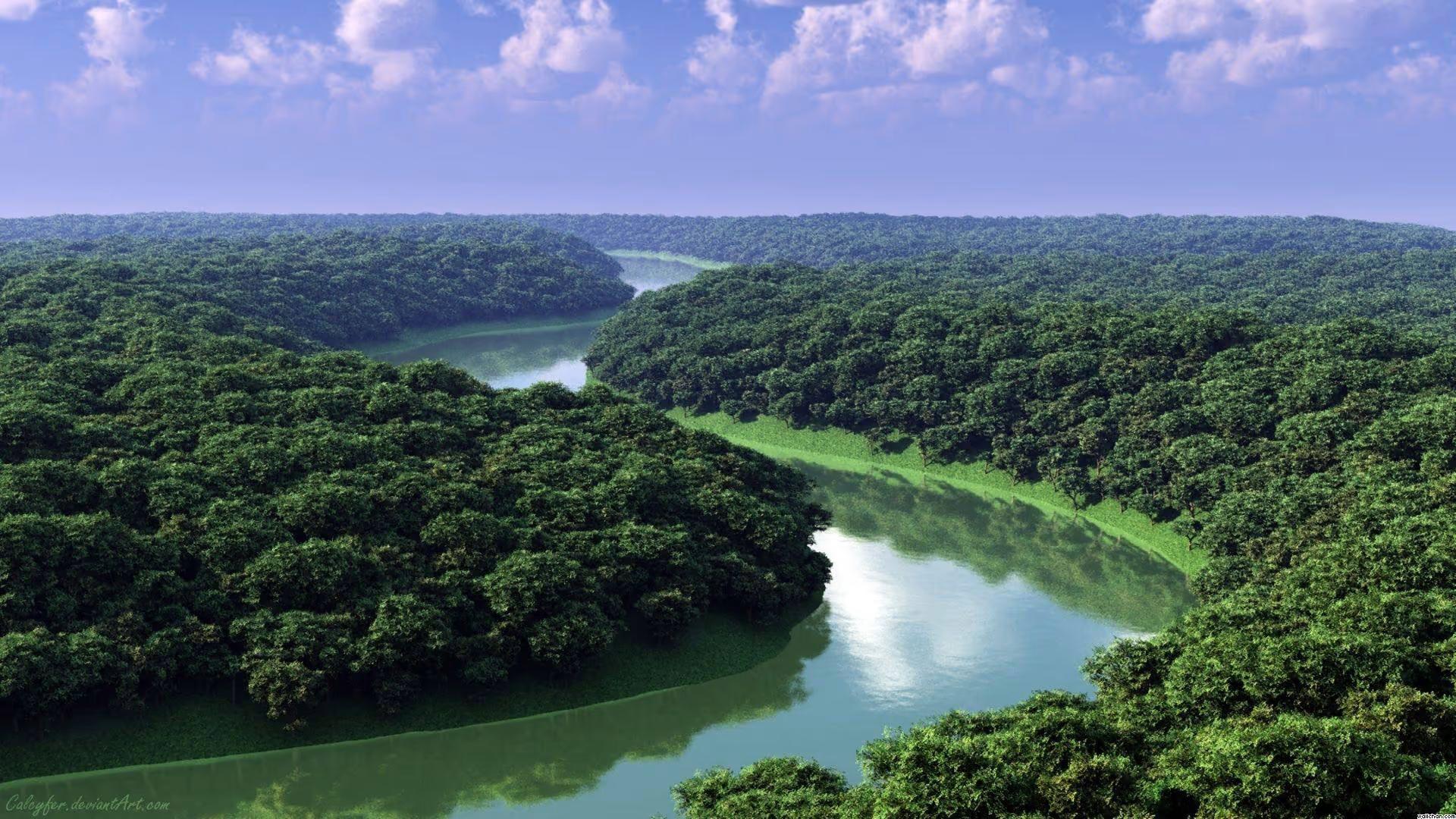 Amazon Jungle Immersion (Iquitos) – 4D/3N — photo 1