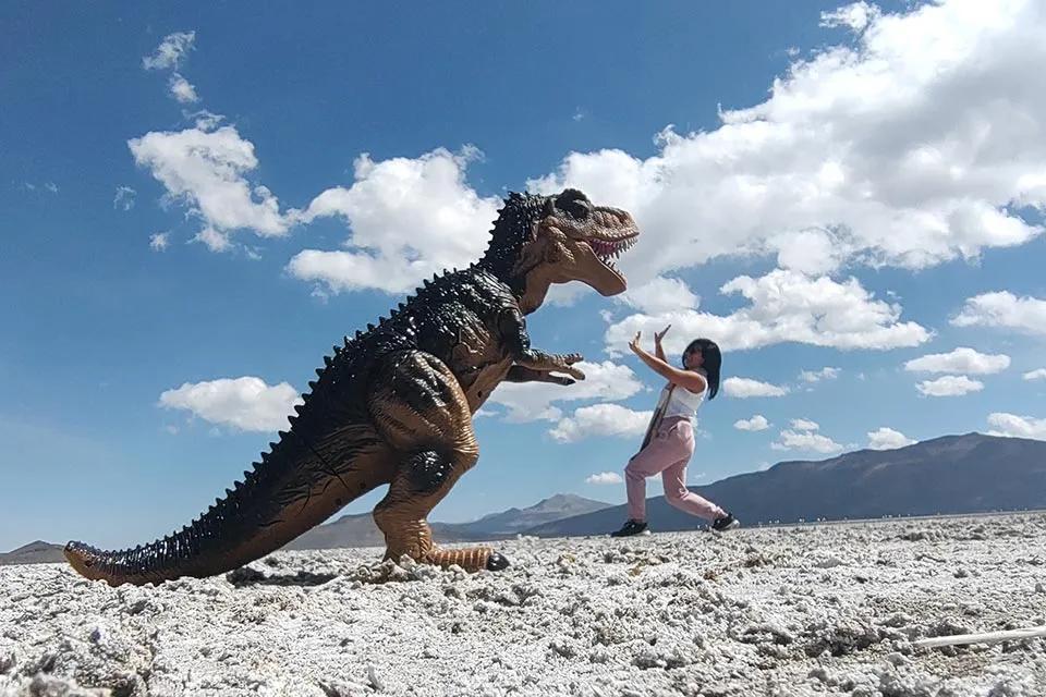 Private Salinas Salt Lagoon Tour: High Altitude Wildlife & Volcanoes — photo 3