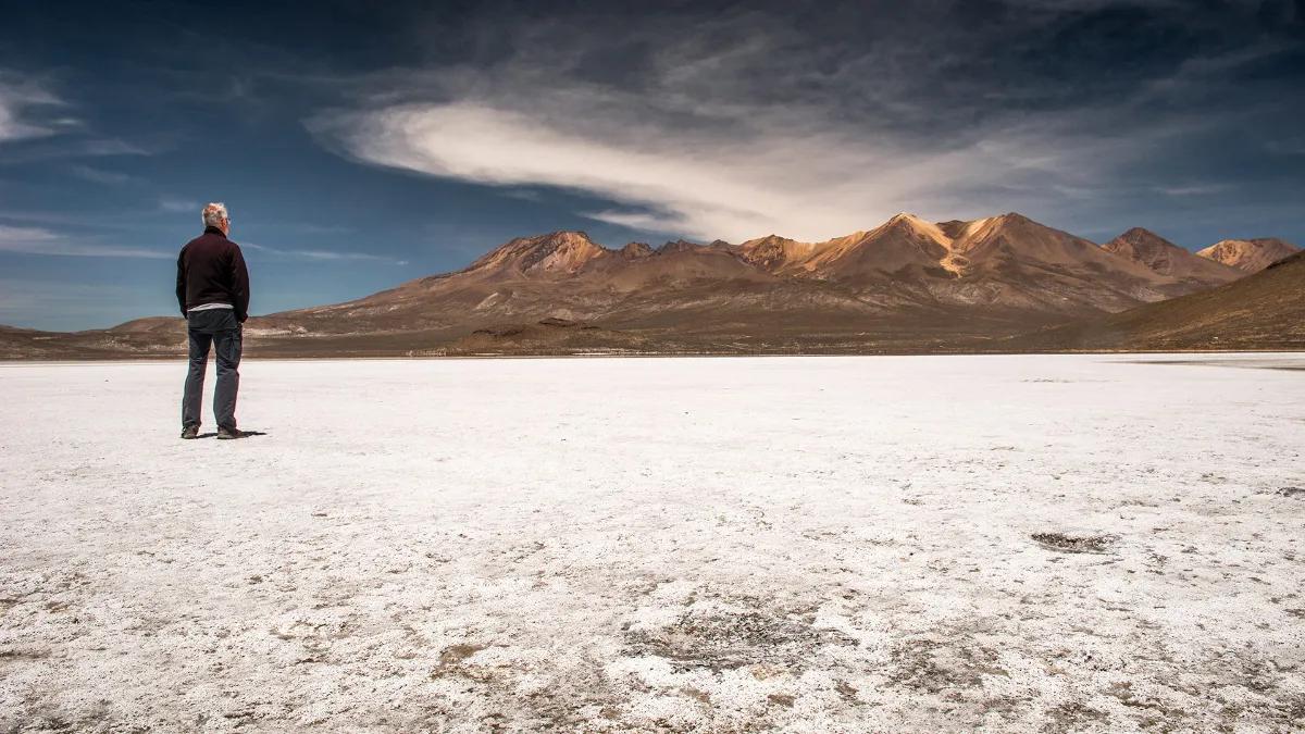 Private Salinas Salt Lagoon Tour: High Altitude Wildlife & Volcanoes — photo 11
