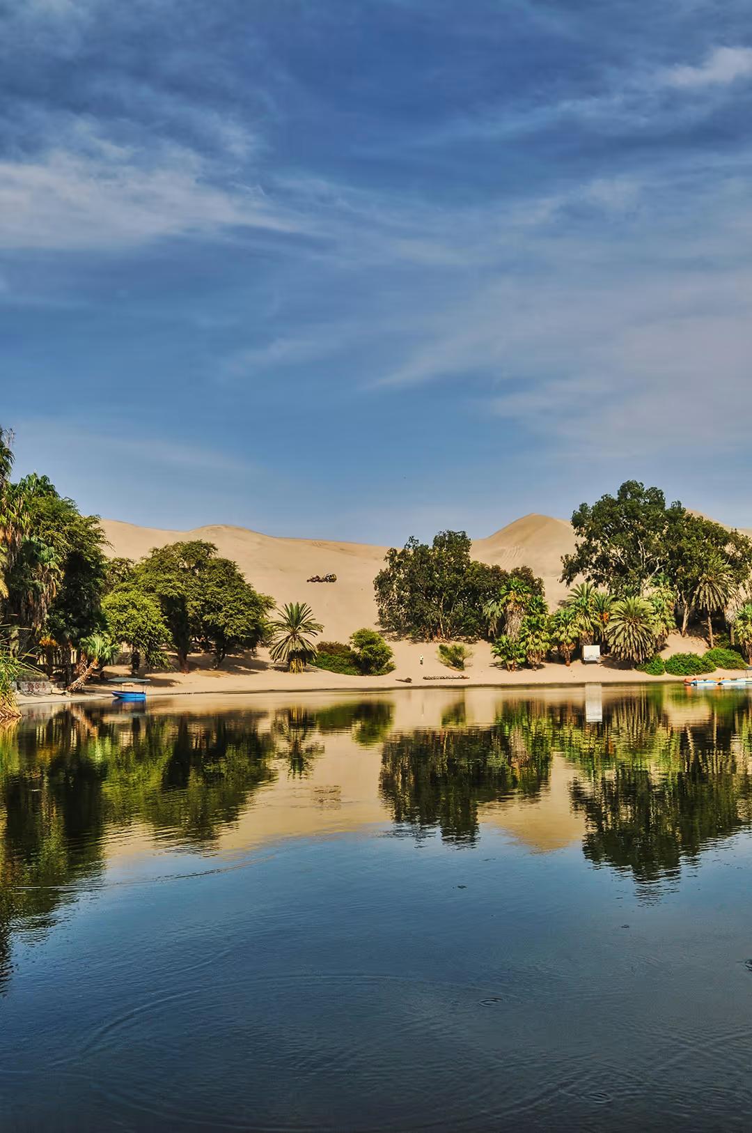 Private Paracas & Huacachina 2-Day Tour: Wildlife, Dunes & Vineyards Escape — photo 6