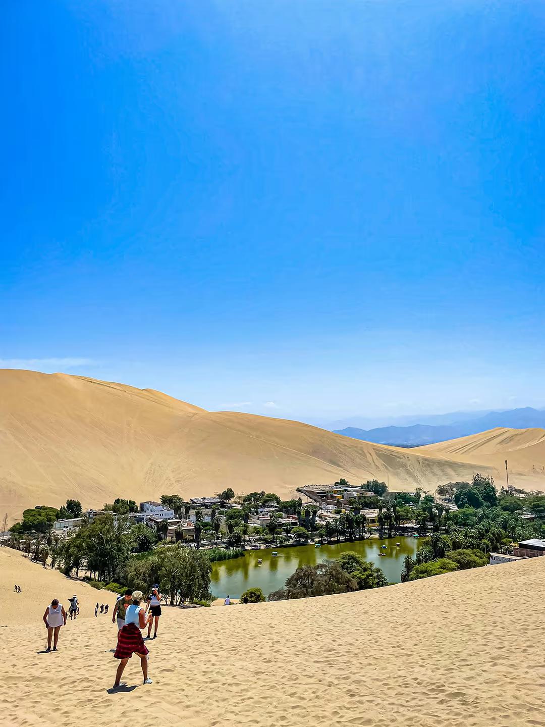 Private Paracas & Huacachina Full Day from Lima: Wildlife, Dunes & Pisco