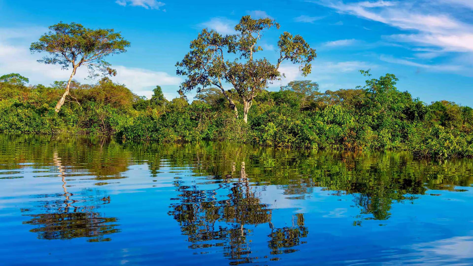 Amazon Jungle Immersion (Iquitos) – 4D/3N — photo 5