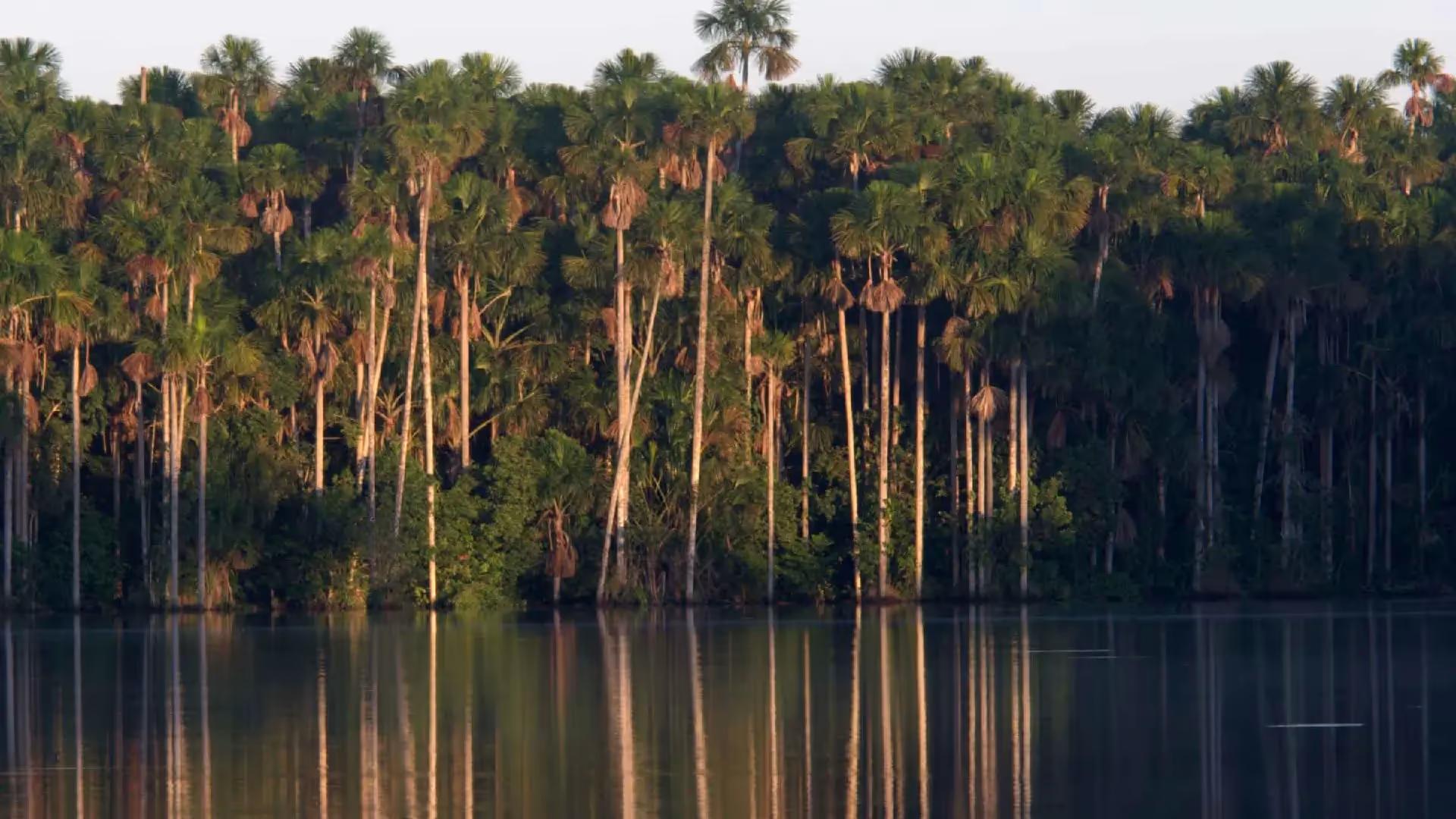 Tambopata Nature and Adventure – 3D/2N — photo 12